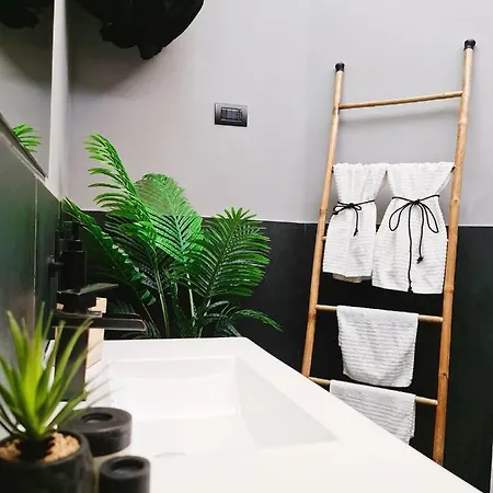 Falco Luxury * Neapol