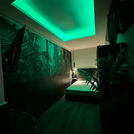 Falco Luxury Apartament