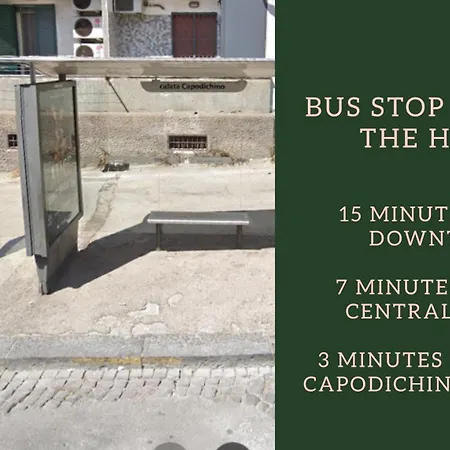 Falco Luxury * ナポリ