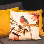 Falco Luxury 나폴리